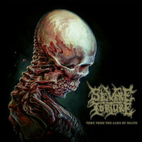 Severe Torture - The Pinnacle Of Suffering