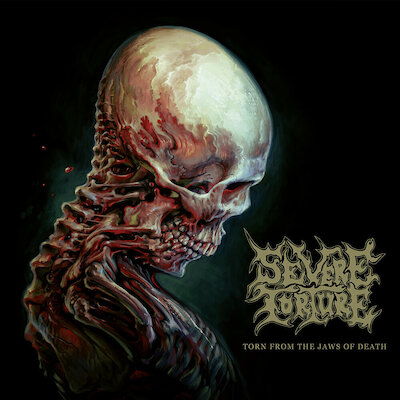 Severe Torture - The Pinnacle Of Suffering