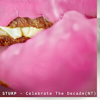 Sturp - Celebrate The Decade (NT)