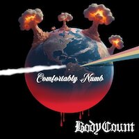 Body Count - Comfortably Numb [Pink Floyd cover]